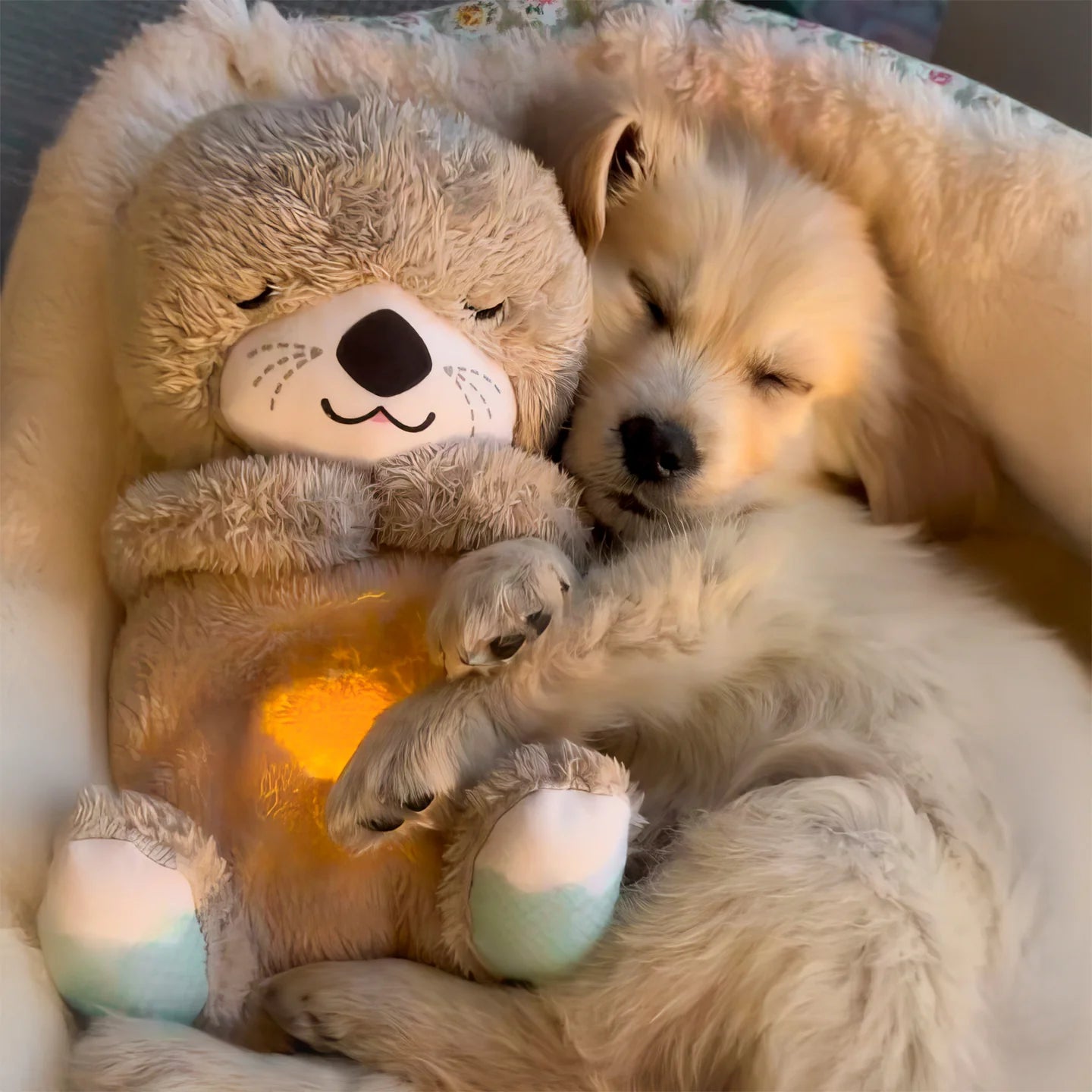 CuddleBuddy™ - The Ultimate Comfort Teddy