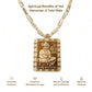 Bhaktimala™| BUY 1 GET 1 | Bageshwar Dham Tulsi Mala